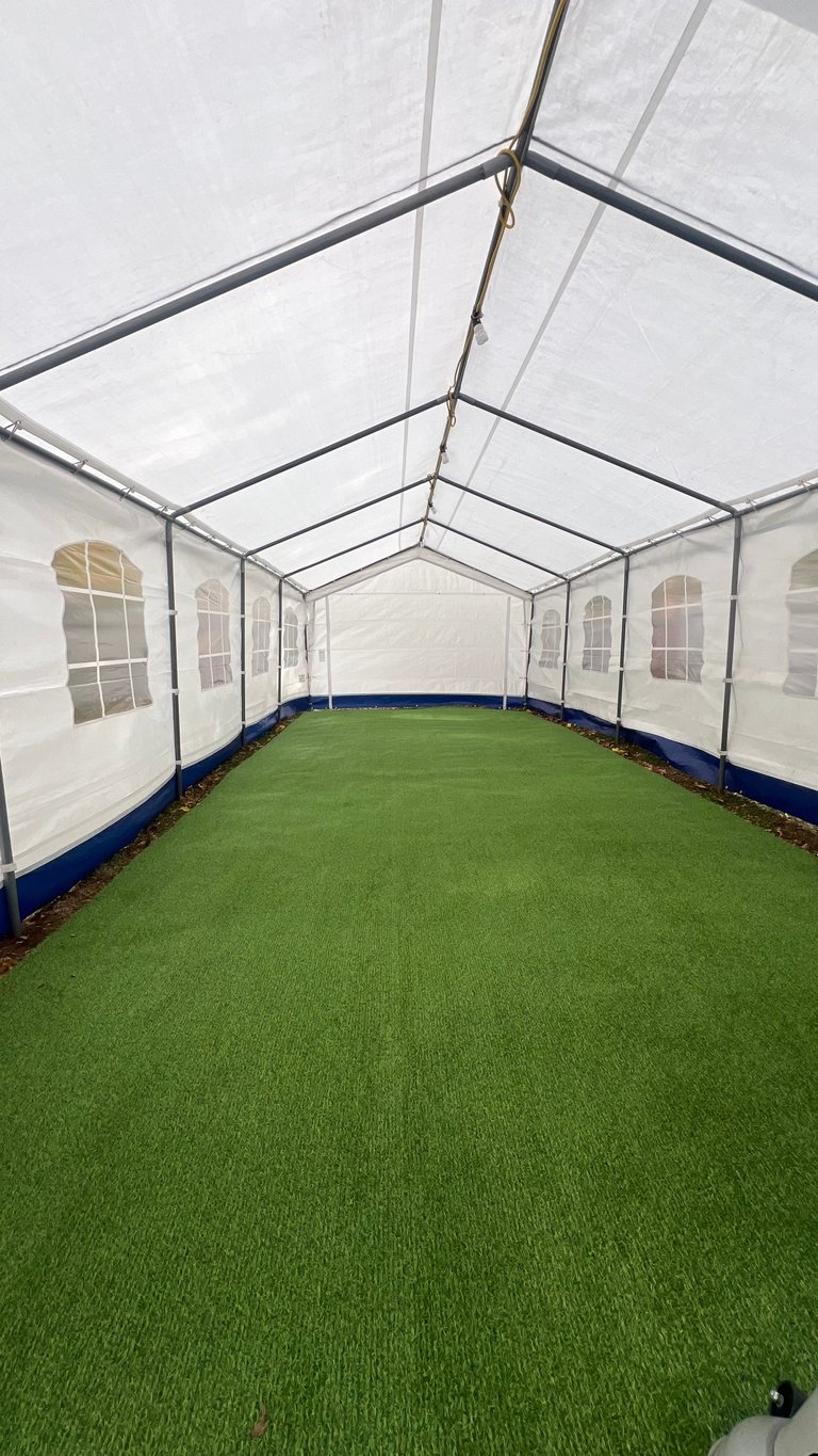 Interior of a large white and blue event tent with artificial green turf flooring and tall rectangular windows along the sides